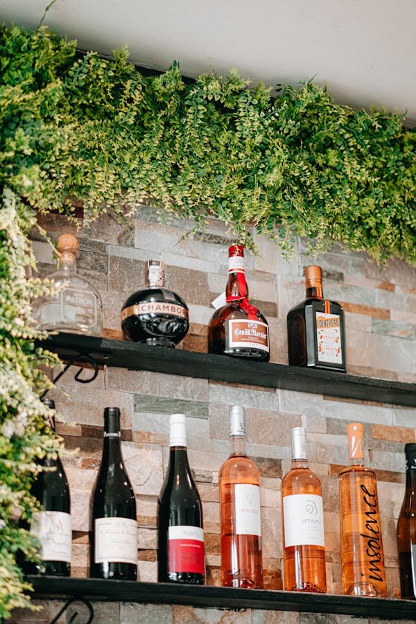 Découverte d'un bar à vin à Orange : dégustez des crus d'exception